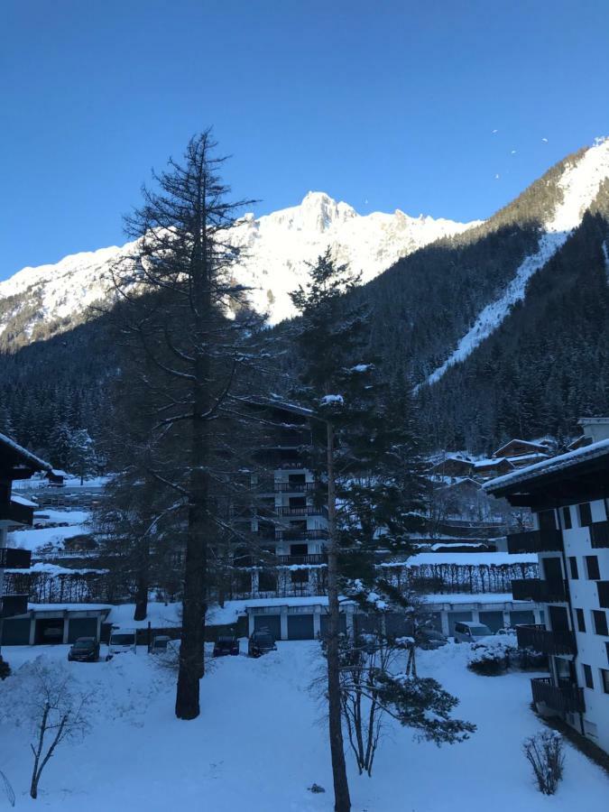 Brevent - Meleze Lejlighed Chamonix Eksteriør billede