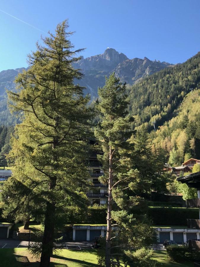 Brevent - Meleze Lejlighed Chamonix Eksteriør billede
